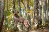 Profile picture of the animal