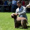 Profile picture of the animal